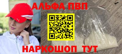 СК Моздок